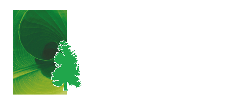Peter Tuinen